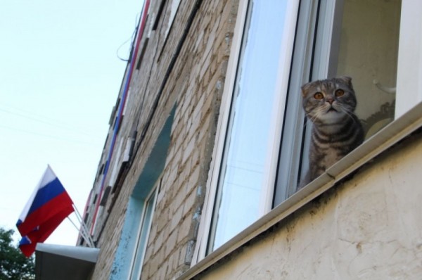 Концерты у домов и флешмобы. Как отмечают День России в Омске?