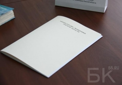 Первый пакет далее могут расширить: омское Минэкономики обобщило меры поддержки бизнеса