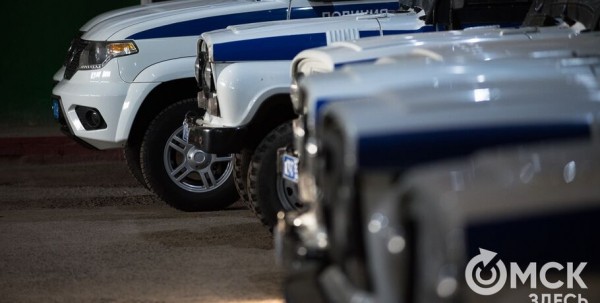 Омская полиция прокомментировала танцы на козырьке перехода на Любинском проспекте