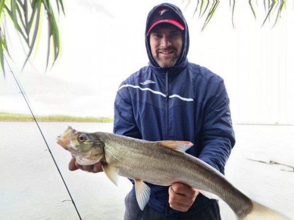 
        П. Дедунов: руководство идет правильным путем, и очень надеюсь, что в 2022 году «Авангард» вернется в родной город
      