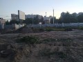 Камерцелевский &laquo;Кедр&raquo; продолжает вырубать лес в&nbsp;парке 30 лет ВЛСКМ