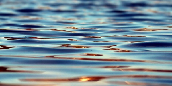 В Омской области утонули отец с дочкой В Омской области утонули отец с дочкой