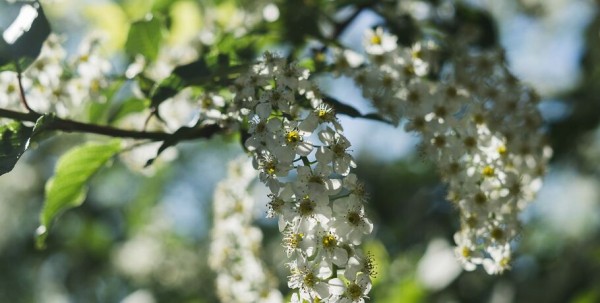 Антигистаминные препараты и влажная уборка. Как избежать аллергии