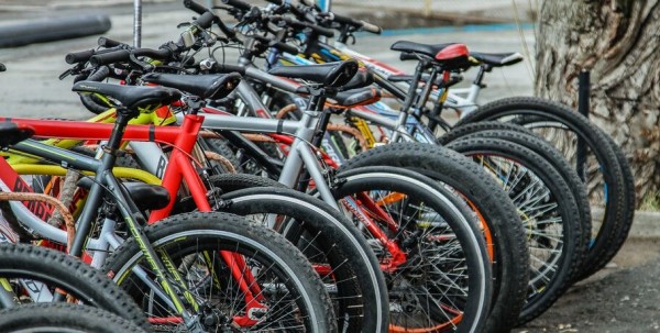 Молодые омичи могут выиграть велосипед Молодые омичи могут выиграть велосипед