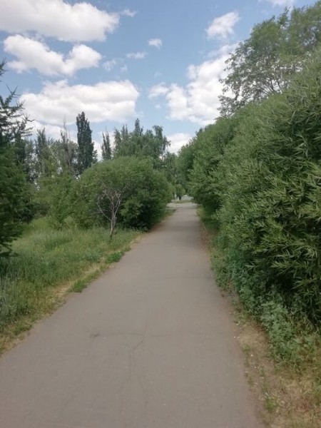 В омском сквере появится парковка для велосипедов В омском сквере появится парковка для велосипедов