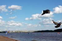 В Омске сотрудники МЧС спасли людей с перевернувшегося судна