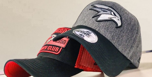 Омские хоккеисты стали обладателями виртуального кубка