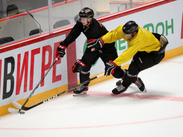 ПОДСЛУШАНО: первый лед с главным тренером (ФОТО+ВИДЕО)
ПОДСЛУШАНО: первый лед с главным тренером (ФОТО+ВИДЕО)