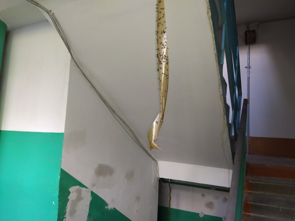 Соседи раскрыли страшные подробности нападения на омичку в Кировском округе 