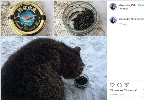 Путешествует и кормит кота черной икрой: что известно о новом замминистра экологии 