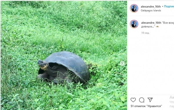 Путешествует и кормит кота черной икрой: что известно о новом замминистра экологии 