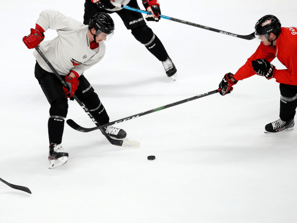 
        ПОДСЛУШАНО: Секач говорит по-русски. Первая двусторонка в новом составе (ФОТО+ВИДЕО)
      