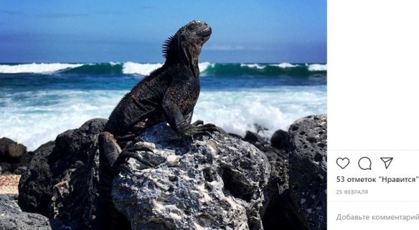 Путешествует и кормит кота черной икрой: что известно о новом замминистра экологии 