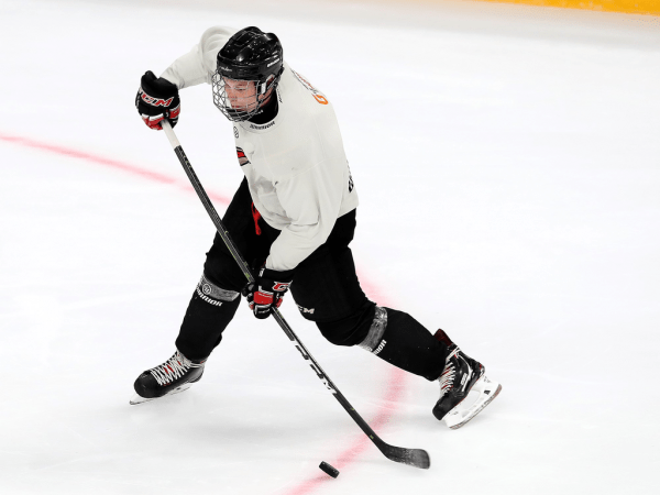 
        ПОДСЛУШАНО: Секач говорит по-русски. Первая двусторонка в новом составе (ФОТО+ВИДЕО)
      