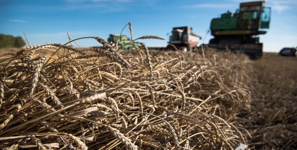 В Омской области введён режим ЧС