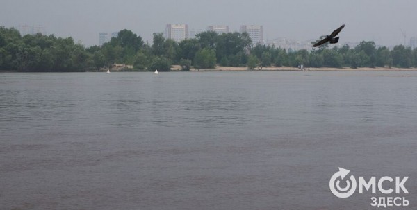 В Омской области за сутки утонули четверо В Омской области за сутки утонули четверо