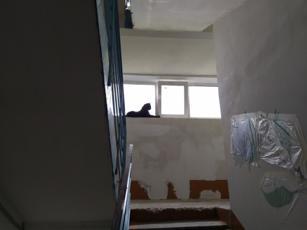 Соседи раскрыли страшные подробности нападения на омичку в Кировском округе 