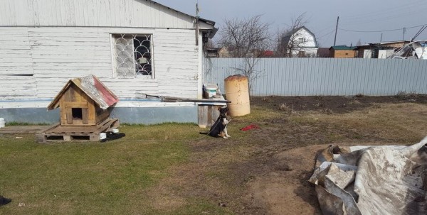 Омичи в садоводческом товариществе остались без электричества