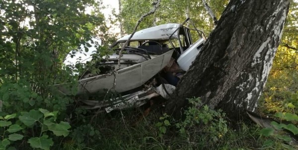 Омичка за рулём "пятёрки" врезалась в дерево и погибла Омичка за рулём "пятёрки" врезалась в дерево и погибла