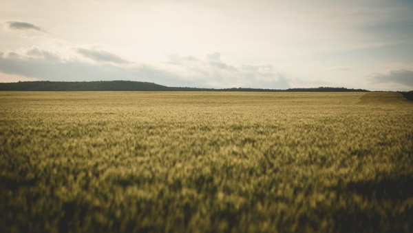 По всей Омской области объявлен режим ЧС 