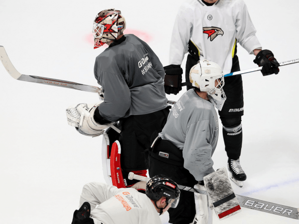 
        ПОДСЛУШАНО: Секач говорит по-русски. Первая двусторонка в новом составе (ФОТО+ВИДЕО)
      