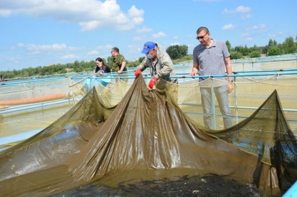 «Росводоканал Омск» организовал на Иртыше «выпускной» для мальков осётра