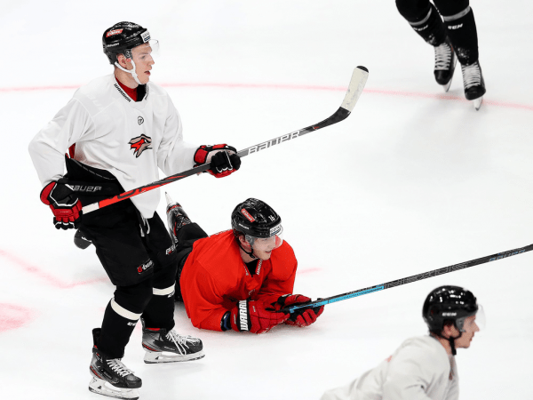 
        ПОДСЛУШАНО: Секач говорит по-русски. Первая двусторонка в новом составе (ФОТО+ВИДЕО)
      