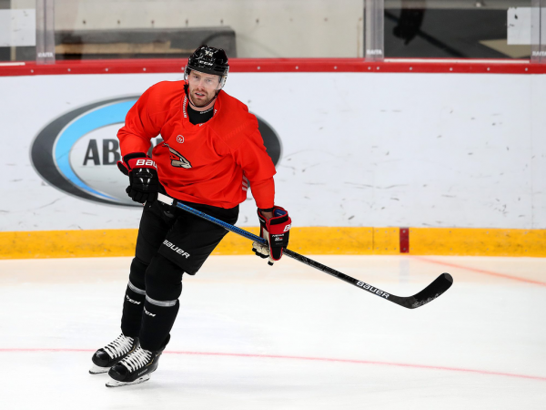 ПОДСЛУШАНО: первый лед с главным тренером (ФОТО+ВИДЕО)
ПОДСЛУШАНО: первый лед с главным тренером (ФОТО+ВИДЕО)