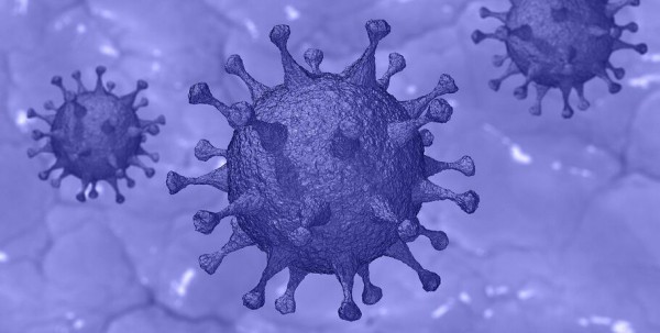 В Омской области за сутки два случая смерти от COVID-19 и 86 новых заражённых В Омской области за сутки два случая смерти от COVID-19 и 86 новых заражённых
