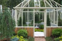 «Берёзка» просит полива. Дачники считают сезон провальным