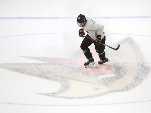 
        ПОДСЛУШАНО: Секач говорит по-русски. Первая двусторонка в новом составе (ФОТО+ВИДЕО)
      