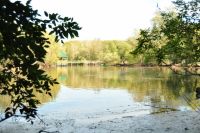 В Омской области откроют новую экотропу