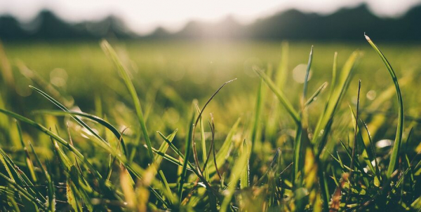 Жару в Сибири объяснили воздушными потоками