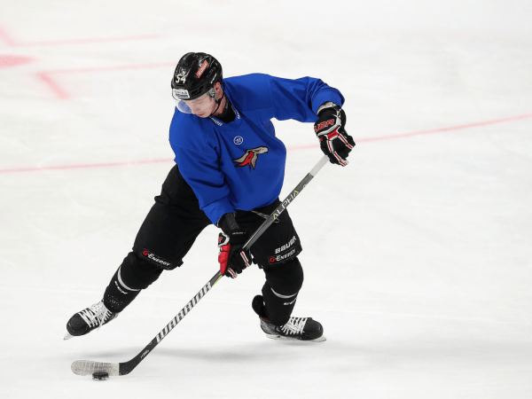 ПОДСЛУШАНО: первый лед с главным тренером (ФОТО+ВИДЕО)
ПОДСЛУШАНО: первый лед с главным тренером (ФОТО+ВИДЕО)