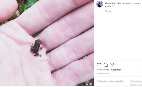 Путешествует и кормит кота черной икрой: что известно о новом замминистра экологии 