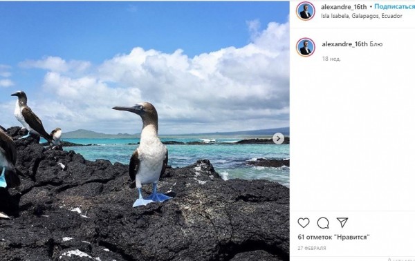 Путешествует и кормит кота черной икрой: что известно о новом замминистра экологии 