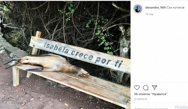 Путешествует и кормит кота черной икрой: что известно о новом замминистра экологии 