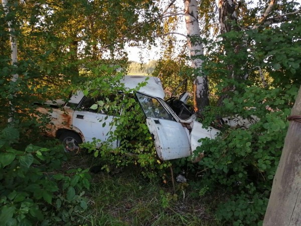 Омичка за рулём "пятёрки" врезалась в дерево и погибла Омичка за рулём "пятёрки" врезалась в дерево и погибла