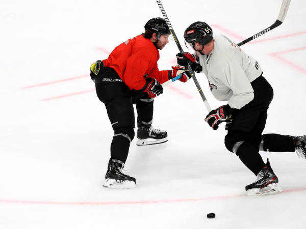 
        ПОДСЛУШАНО: Секач говорит по-русски. Первая двусторонка в новом составе (ФОТО+ВИДЕО)
      