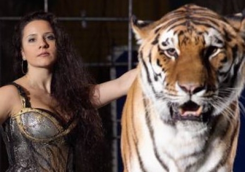 Карина Багдасарова: «На зарплаты сотрудникам муж продал мотоцикл» Карина Багдасарова: «На зарплаты сотрудникам муж продал мотоцикл»