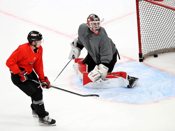 
        ПОДСЛУШАНО: Секач говорит по-русски. Первая двусторонка в новом составе (ФОТО+ВИДЕО)
      