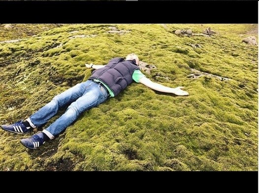 Путешествует и кормит кота черной икрой: что известно о новом замминистра экологии 