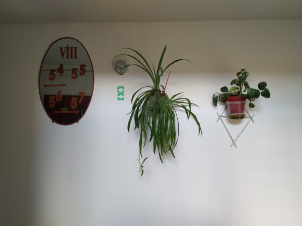 Соседи раскрыли страшные подробности нападения на омичку в Кировском округе 