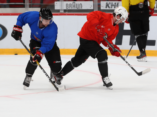 
        ПОДСЛУШАНО: как «Авангард» начал подготовку к сезону (ФОТО+ВИДЕО)
      