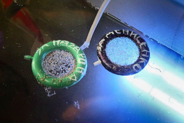 Чем запомнятся выборы губернатора Омской области – ТОП-10 курьезов