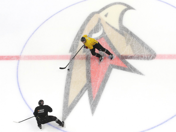 ПОДСЛУШАНО: первый лед с главным тренером (ФОТО+ВИДЕО)
ПОДСЛУШАНО: первый лед с главным тренером (ФОТО+ВИДЕО)