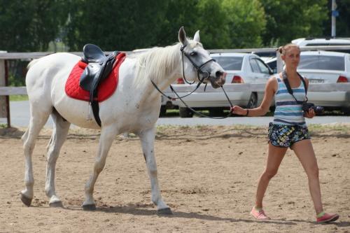 «Верхом к победе»: для адаптации юных омичей выделили почти полмиллиона рублей