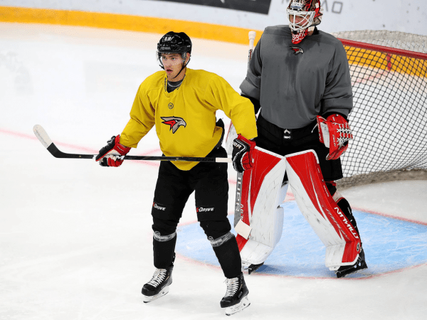 ПОДСЛУШАНО: первый лед с главным тренером (ФОТО+ВИДЕО)
ПОДСЛУШАНО: первый лед с главным тренером (ФОТО+ВИДЕО)