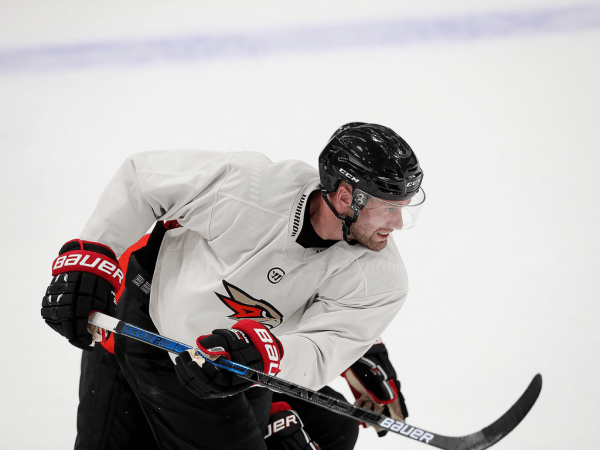 
        ПОДСЛУШАНО: Секач говорит по-русски. Первая двусторонка в новом составе (ФОТО+ВИДЕО)
      