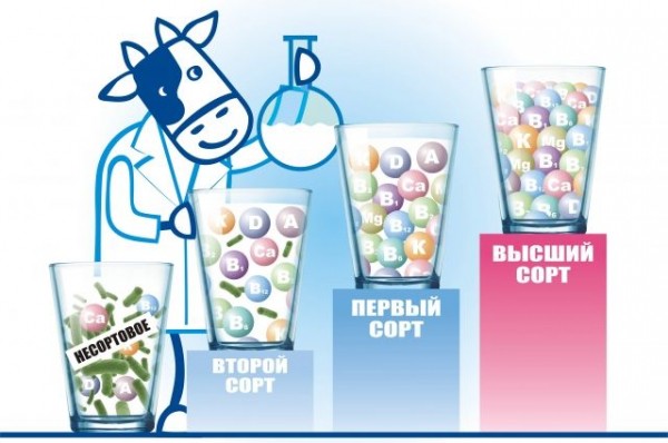 Что нужно знать о сортах молока? Разбираемся вместе с экспертом